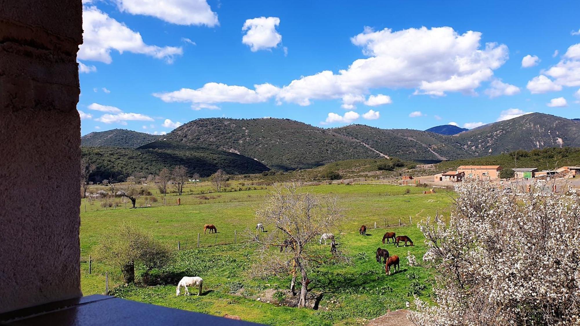 Casa Con Piscina En Parque Nacional De Cabaneros Navas de Estena Bagian luar foto